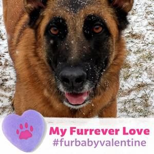 Meet your Posher, Sharron